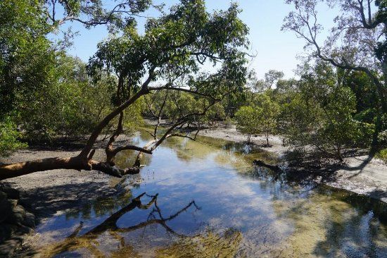 Myora Springs Conservation Area
